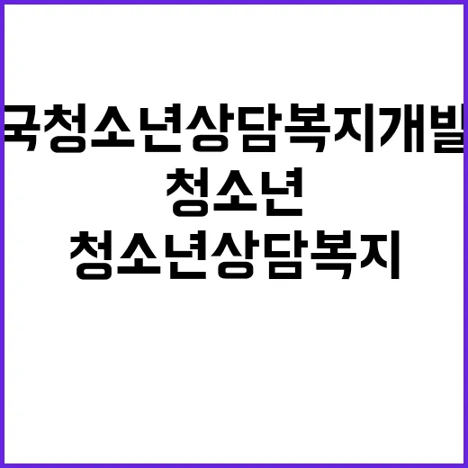 한국청소년상담복지개…