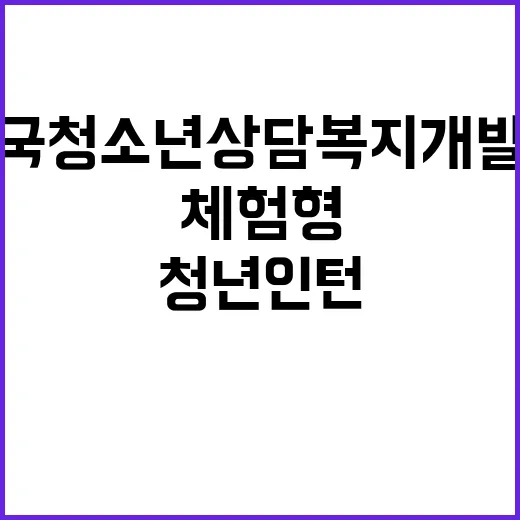 국립대구청소년디딤센터 2025년 상반기 청년인턴(체험형) 모집 공고(제2024-2호)