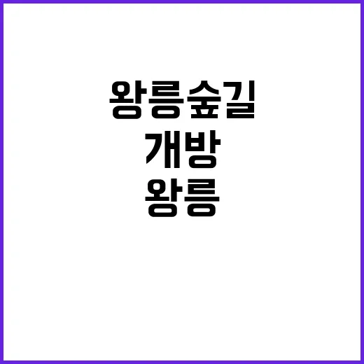 왕릉 숲길 10월 1일 개방! 놓치지 마세요!