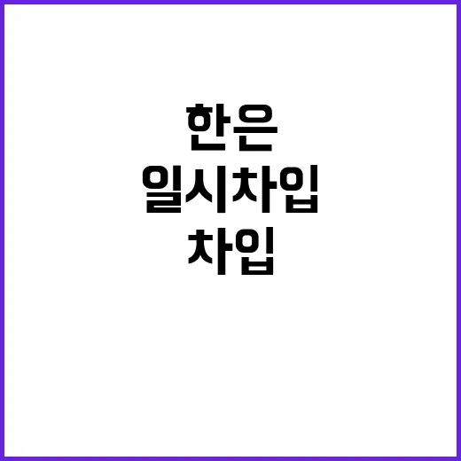 “세입세출 불일치 해결 한은 일시차입 활용”