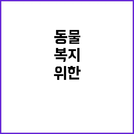 정책 개선 동물복지…