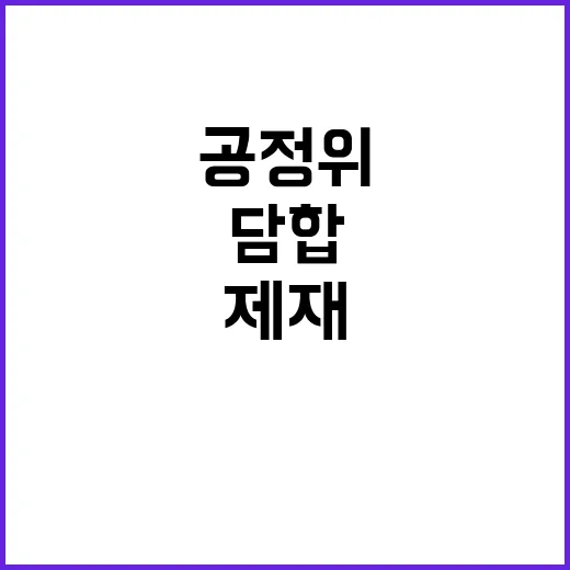 담합 제재 공정위의 사실 확인과 향후 계획!