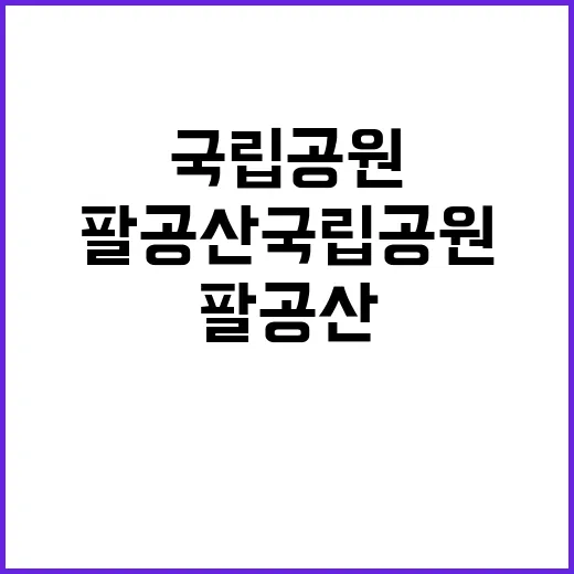 국립공원공단 비정규…