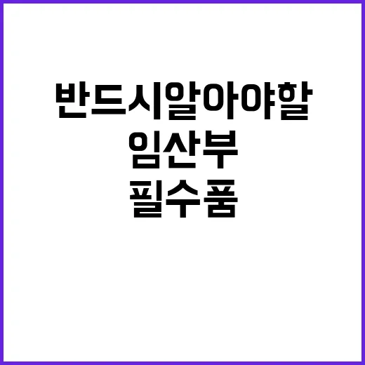 임산부 필수품 반드…