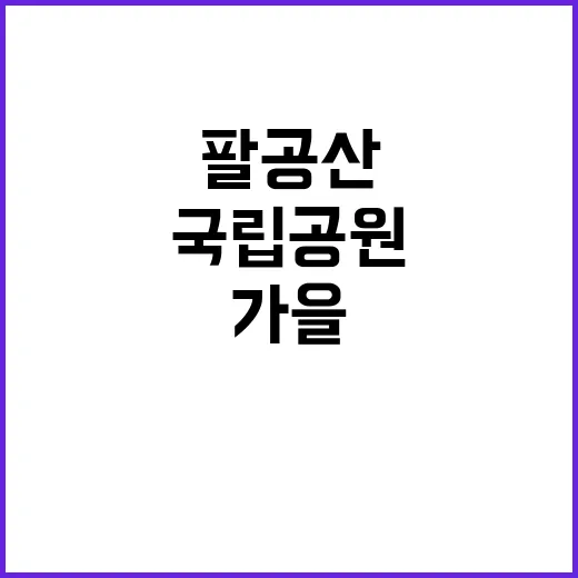 국립공원공단 비정규…