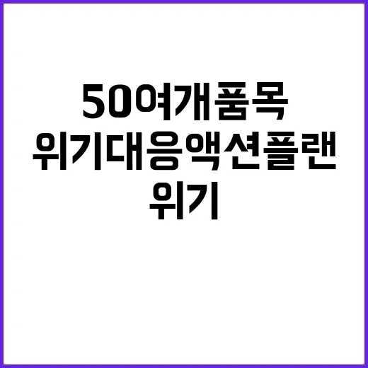 위기대응 액션플랜 50여개 품목 국산화 추진!