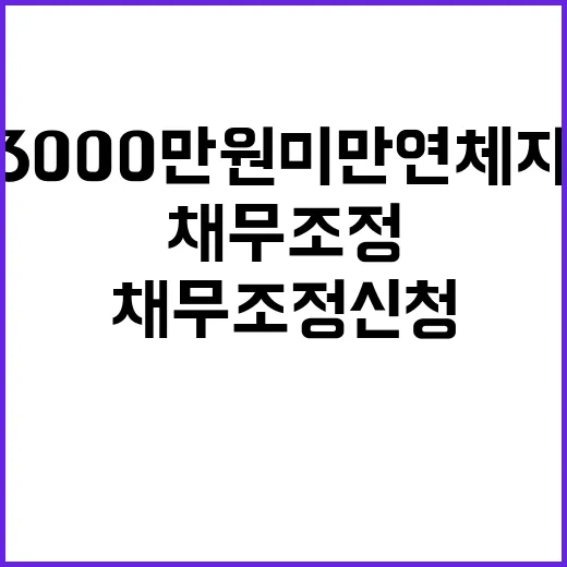 채무조정 신청 3000만 원 미만 연체자 기회!