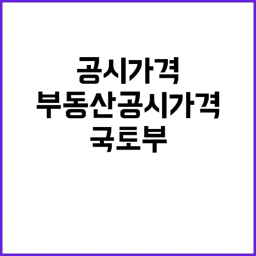 부동산공시가격 문제…