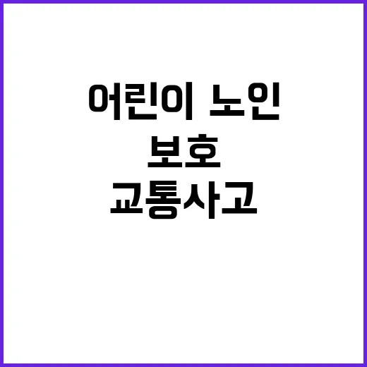 교통사고 어린이·노인 보호 위한 79개소 점검!