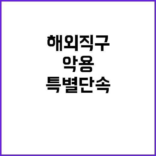 악용 해외직구 특별…