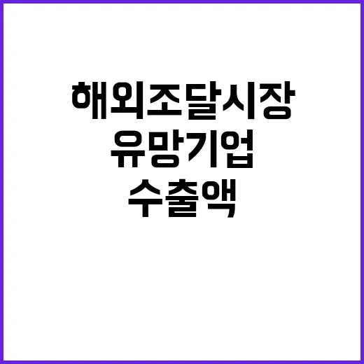 해외조달시장 유망기업 수출액 증가 소식!