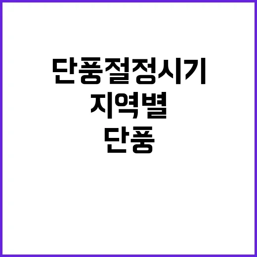 단풍 절정 시기 놓…