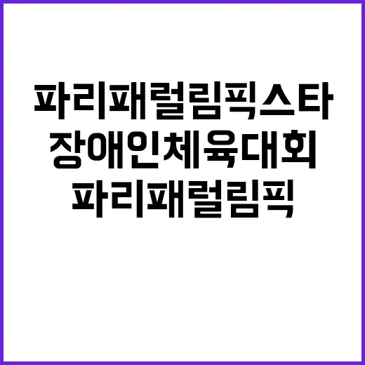 장애인체육대회 파리 패럴림픽 스타들의 대향연!