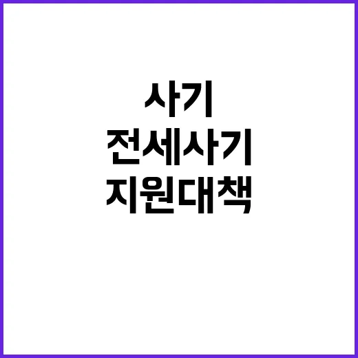 전세사기 피해자 1227건 지원 대책 드러났다!