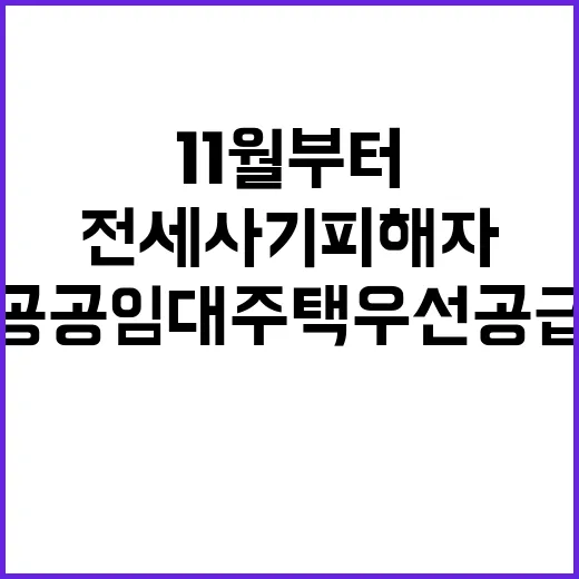 전세사기피해자 11월부터 공공임대주택 우선 공급!