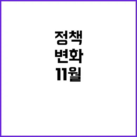 11월 변화 정책 …