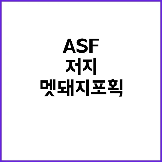 멧돼지 포획 ASF…