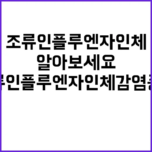 조류인플루엔자 인체감염증의 모든 것을 알아보세요!