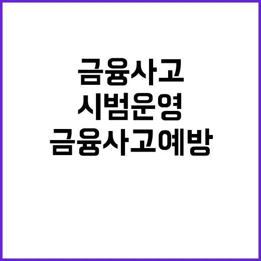 금융사고 예방 18곳 참여 시범 운영 시작!