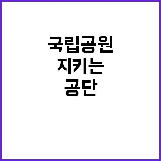 국립공원공단 비정규…