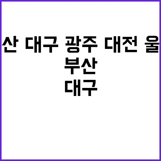 부산·대구·광주·대전·울산 미래 도시가 된다!