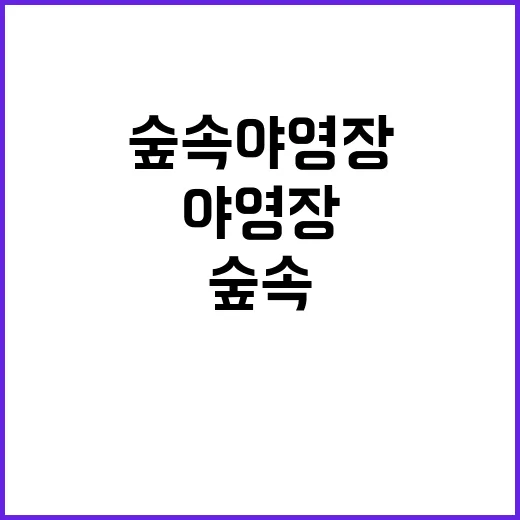 숲속 야영장 확대 …