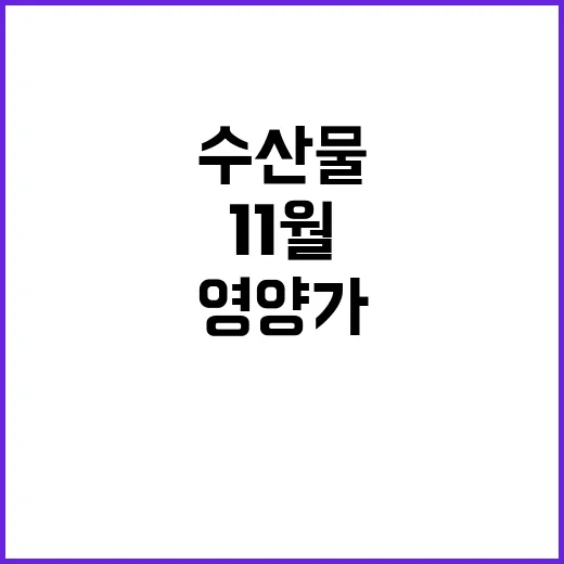 11월 수산물 영양…