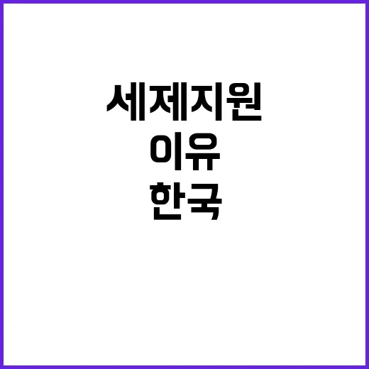 세제지원 한국의 반…