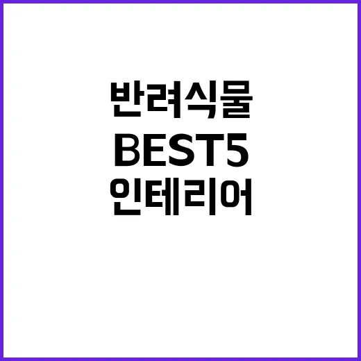 반려식물 BEST …