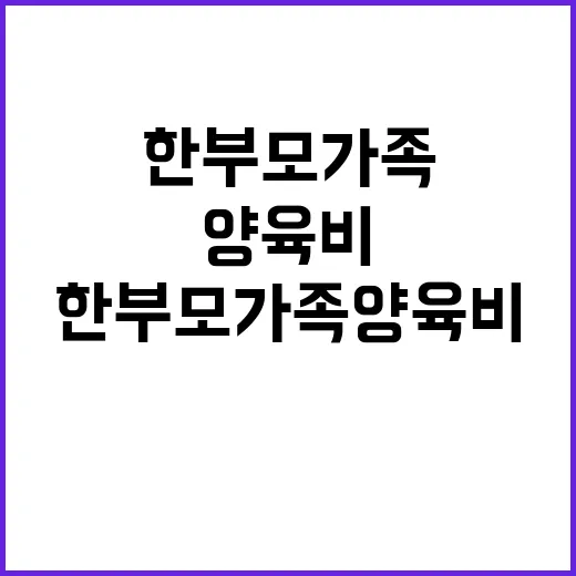 한부모가족 양육비 …