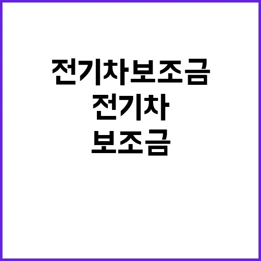 전기차 보조금 진실과 거짓은 무엇인가?