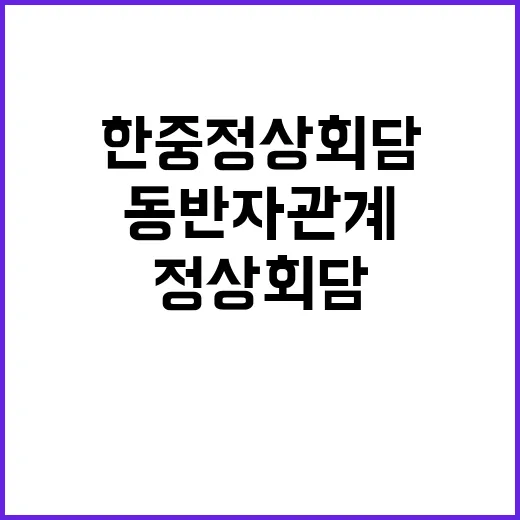 한중 정상회담 전략적 협력 동반자 관계의 미래!