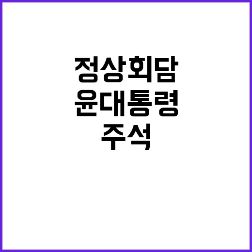 외교 정상회담 윤 …