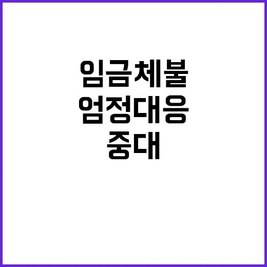 임금체불 중대범죄 …