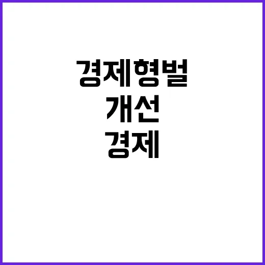 경제형벌 개선과제 …