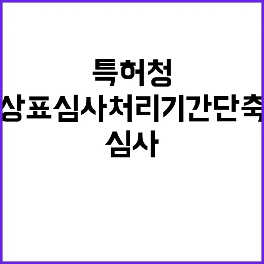 특허청 상표심사 처…