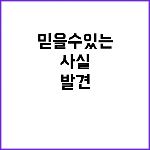 조달청 군 피복 공…