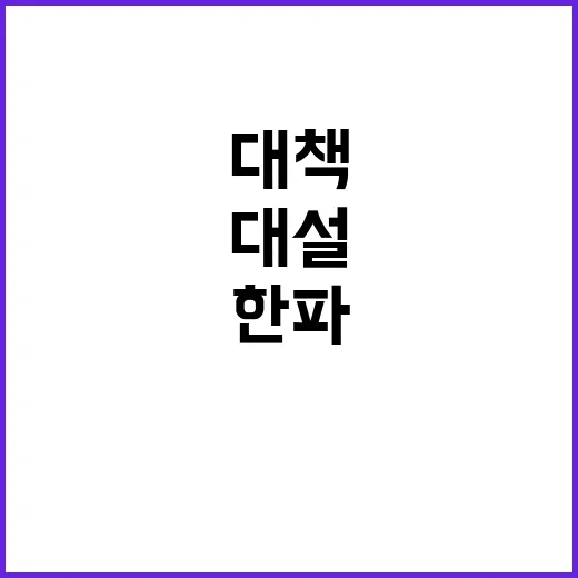 대설 한파 정부의 …