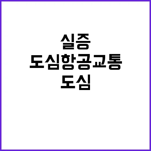 도심항공교통 다음 …