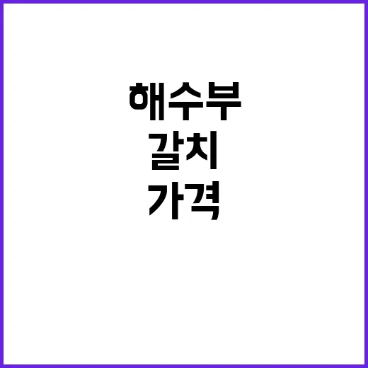 갈치 소비자가격 해수부의 또 다른 진실!