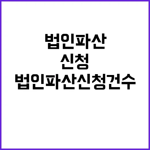 법인 파산 신청 건…