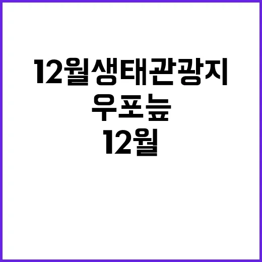 우포늪 12월 생태관광지 방문 필수 이유!