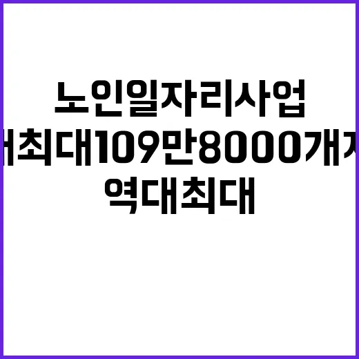 노인일자리 사업 역대 최대 109만 8000개 제공!