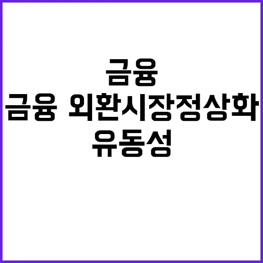 유동성 공급 금융·외환시장 정상화 언제 될까?