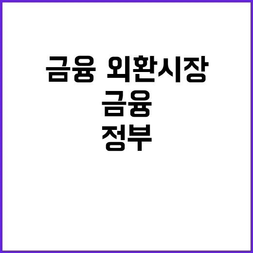 정부의 신속한 조치 금융·외환시장 불안 해소?