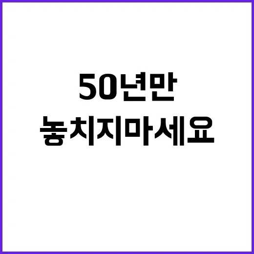 달토성 50년 만의…