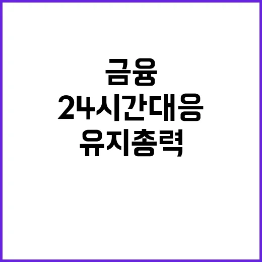 금융 안정세 24시…