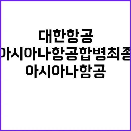 대한항공아시아나항공…