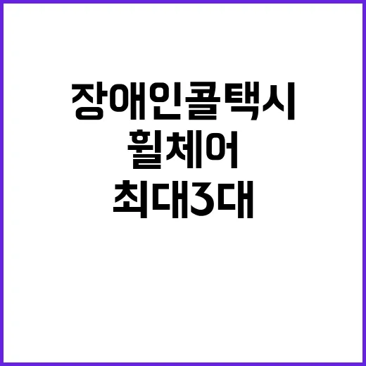 장애인콜택시 휠체어…