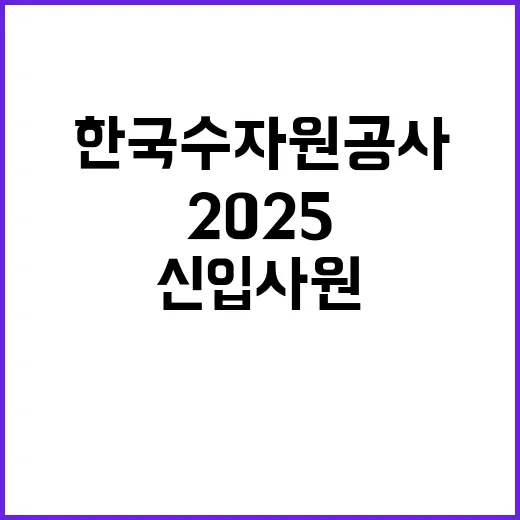 2025년 상반기 일반직 신입사원 일반 공채